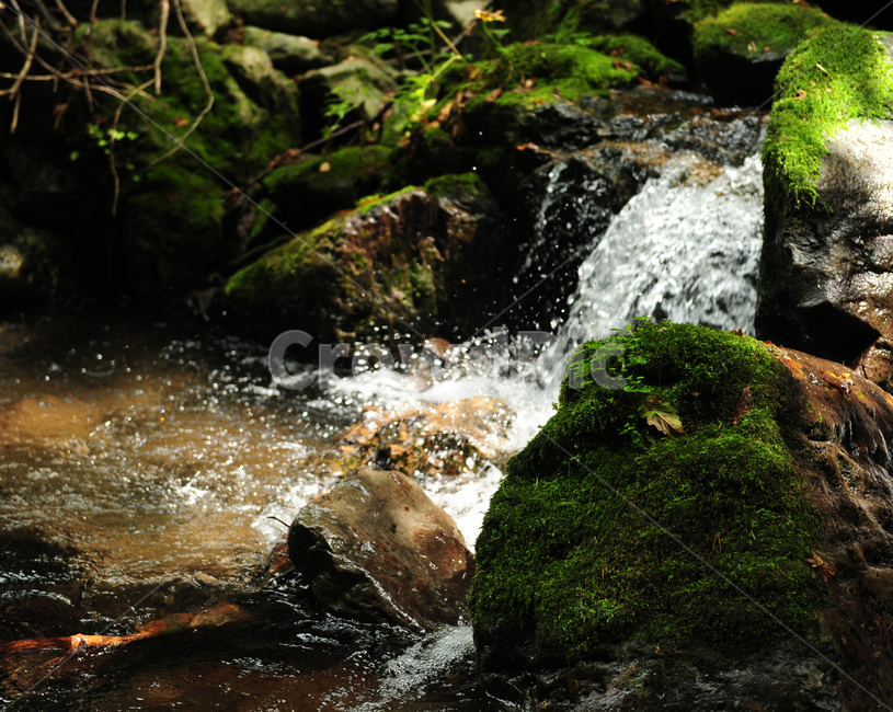 water,물,nature,자연,river,강,옥외,outdoors,산,등산,자연,풍경,nature,landscape,plant,식물