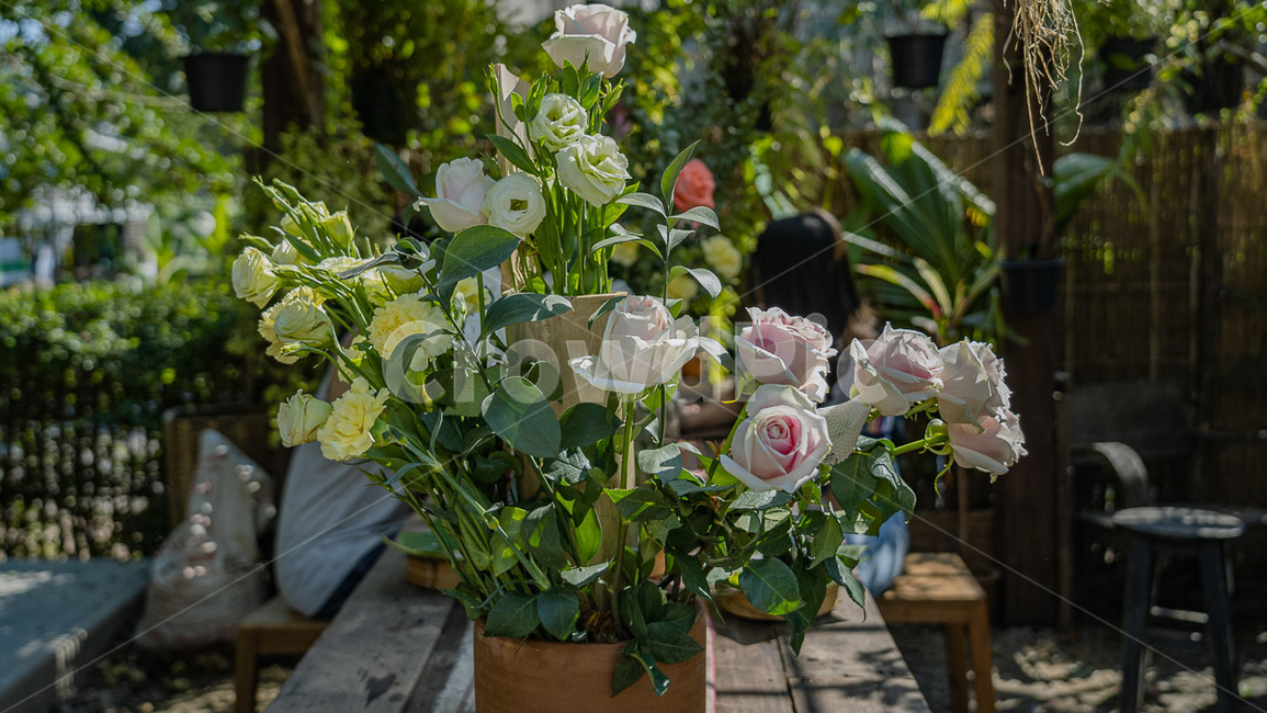 plant,식물,blossom,flower,꽃