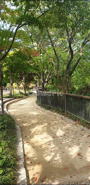 동원,길,숲,산책,산책로,정원,옥외,outdoors