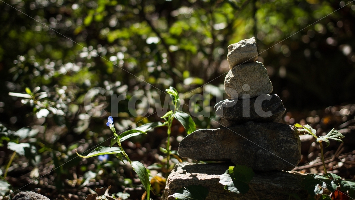 돌탑,소원,소망,hope,빛,light,보케,감성,따뜻,기원,식물,자연,plants,nature,꽃,flower,종교,신앙,religion,belief,faith