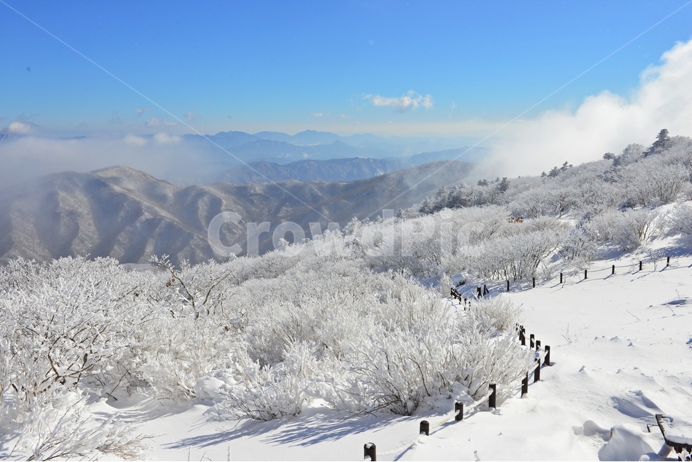 전북,무주,설천봉,상고대,상제루,mountainrange,산맥,winter,겨울,blizzard,눈보라,storm,폭풍,nature,자연,outdoors,옥외,ice,빙,snow,눈,mountain,산,향적봉,겨울,계절,winter,season,자연,풍경,nature,landscape