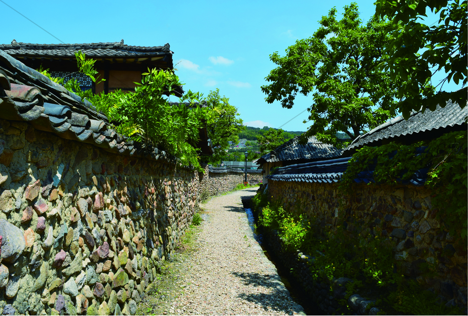 전통가옥,담벼락,나무,골목,돌담,자연,풍경,nature,landscape,한국자연풍경,한국자연경관,korea nature landscape,골목길,alley,한국전통,한국문화,korean traditional,korean culture,건축물,건물외관,exterior,building,structure,architecture,construction,arbour,정자,garden,정원,outdoors,옥외