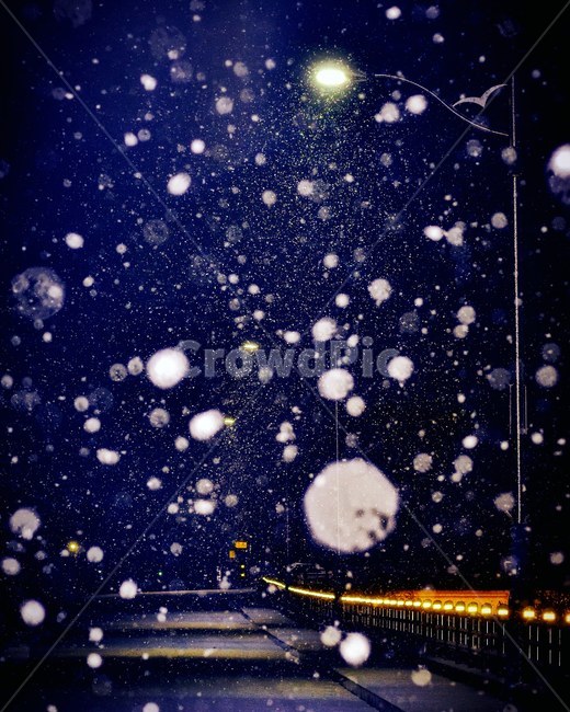snow,눈,눈길,snowynight,winter,겨울,자연,nature,outdoors,옥외,겨울,계절,winter,season,야경,밤,풍경,nightscape,night,landscape