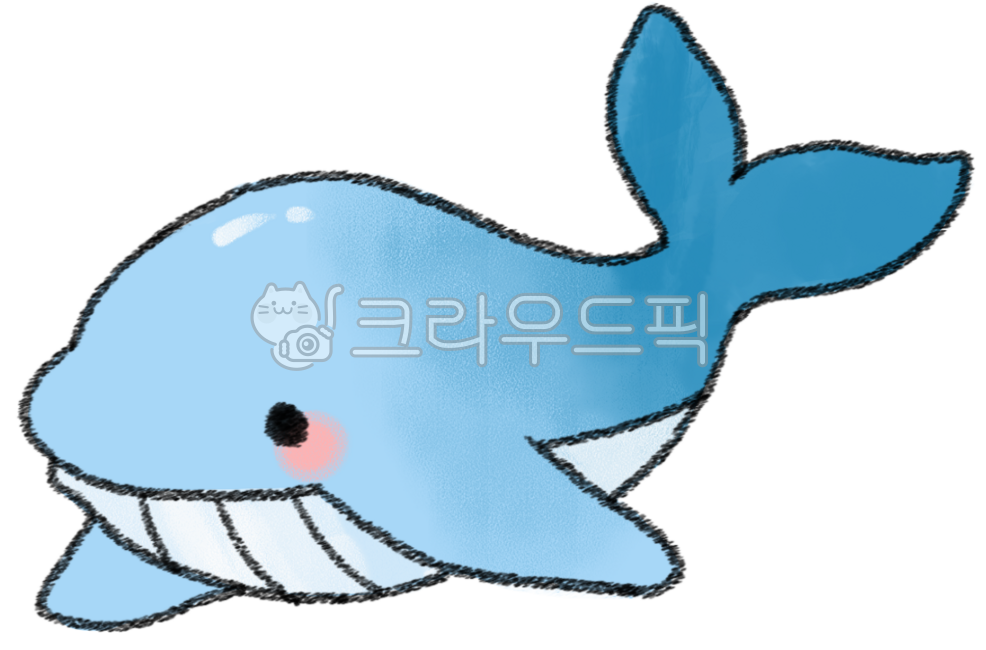 summer,sea,fish,whale,white whale