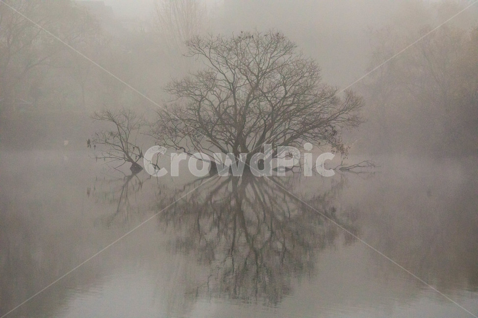 저수지,반영,안개,가을저수지,동판지,저수지풍경,자연,풍경,nature,landscape,식물,plants,나무,trees,wood,outdoors,옥외