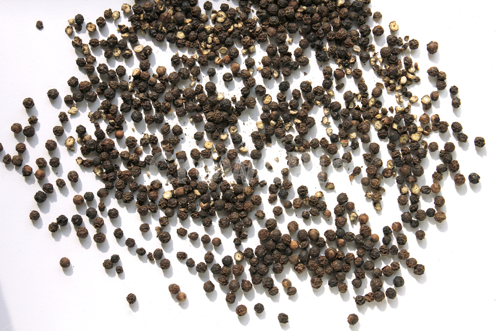 black,brown,cooking,dry,food,glass,gourmet,pepper,peppercorn,seeds,spice,spicy,white,검은색,검정,갈색,브라운,요리,음식재료,음식,후추,후추가루,향신료,매운,식재료,탑앵글,탑뷰,음식,식재료,요리,food,cook,meal,dishes,food reserves,콩류,견과류,beans,pulse,nuts,dry fruits,누끼,remove background
