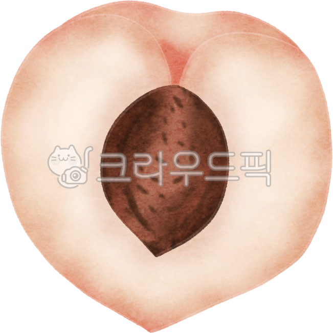 복숭아단면,복숭아씨,복숭아일러스트,과일단면,수채화과일,복숭아수채화,과일일러스트,여름과일,씨있는과일,핸드드로잉과일,감성일러스트,음식일러스트,과일그림,귀여운과일,식재료일러스트,수채화스타일,복숭아해부도,식물일러스트