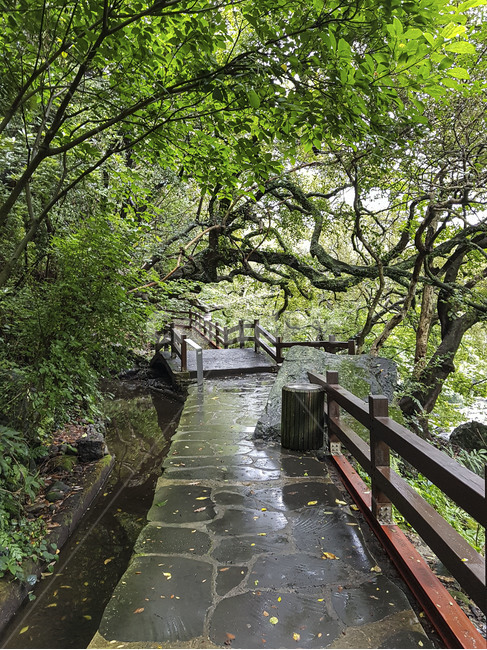 outdoors,옥외,arbour,정원,garden
