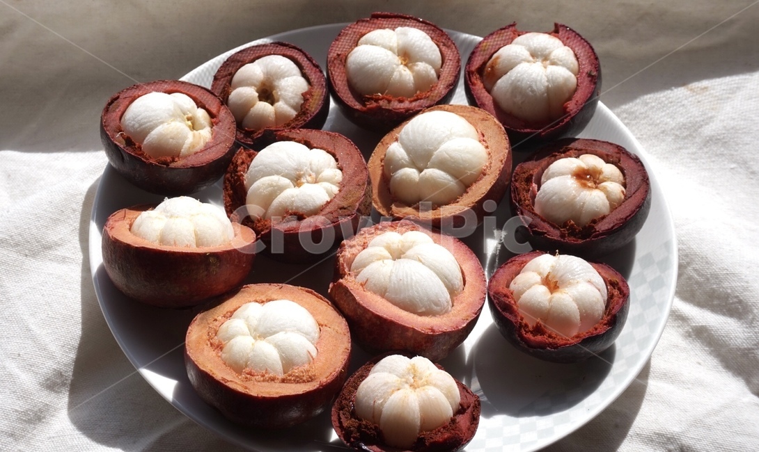 망고스틴,과일,생식,태국과일,fruit,과일식,음식,식재료,요리,food,cook,meal,dishes,food reserves,과일,열매,fruit