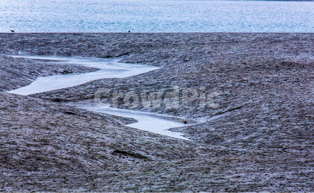영종도,갯벌,석양,풍경,환경,바닷가,자연,풍경,nature,landscape,한국자연풍경,한국자연경관,korea nature landscape,land,땅,outdoors,옥외