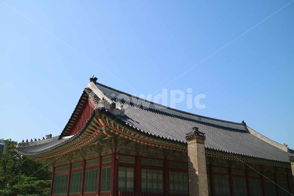 고궁,궁전,한국,한국전통,건축,건물,동양건축,전통,민속,문화재,한국의고궁,한옥,대한민국,한국전통,한국문화,korean traditional,korean culture,랜드마크,landmark,tourist attraction,한국랜드마크,한국관광지,한국명소,korea landmark,korea tourist attraction,건축물,건물외관,exterior,building,structure,architecture,construction