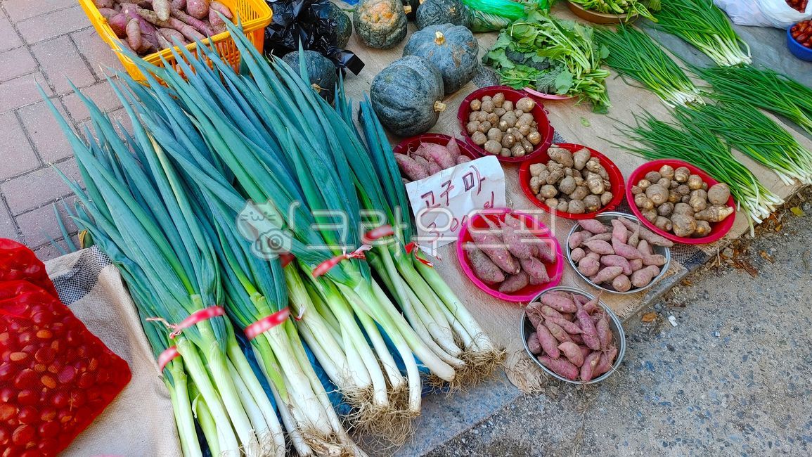 시장,채소노점상,대파,고구마,토란,쪽파,호박,밤,과일,밭작물,농작물,농산물,수확,노점상,재래시장,전통시장,장터,식재료,먹거리,음식재료,한국적
