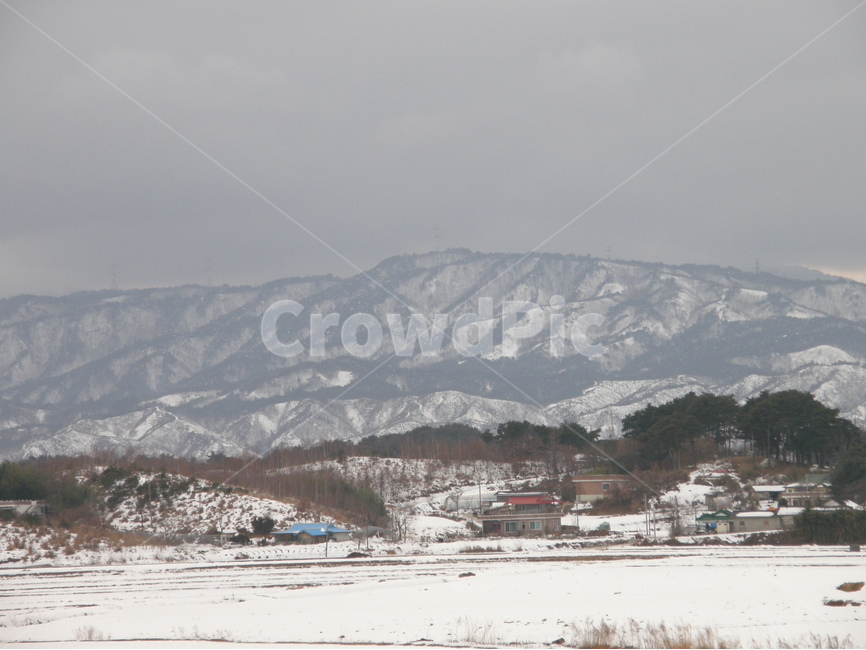 강원도,풍경,설경,눈,태백산맥,snow,korea,landscape,한국,자연,산,nature,mountain,산맥,날씨,기상,기후,야외,집,나무,숲,tree,forest,하늘,sky,백색,white,겨울,계절,winter,season,자연,풍경,nature,landscape,outdoors,옥외,mountain range,산맥