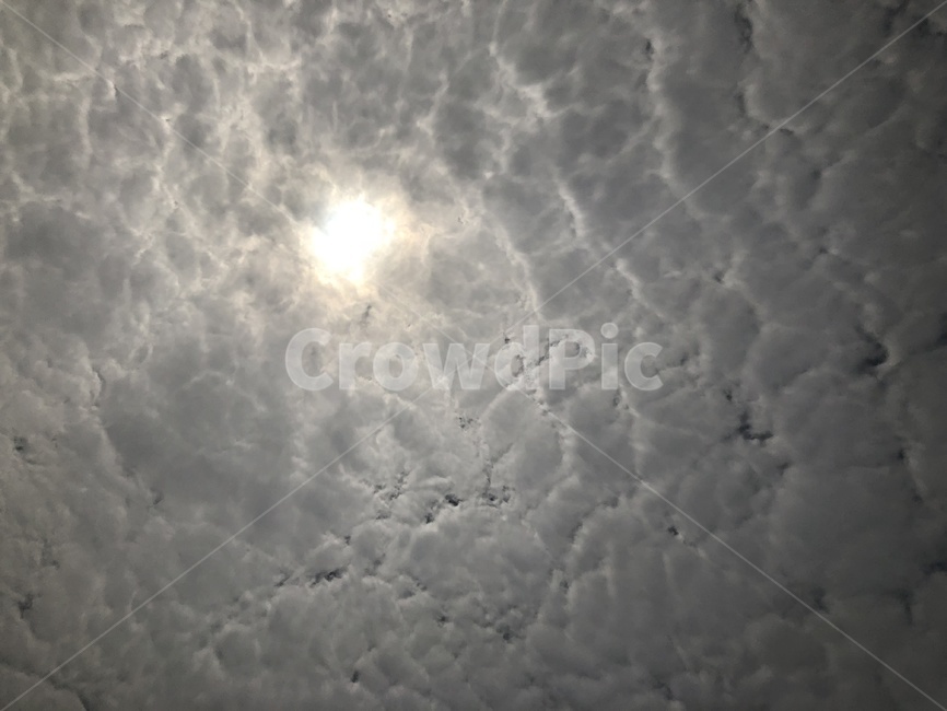 구름,양떼구름,솜사탕,솜사탕구름,멋진구름,예쁜구름,해,날씨,sun,cloud,하늘,sky,nature,자연,weather