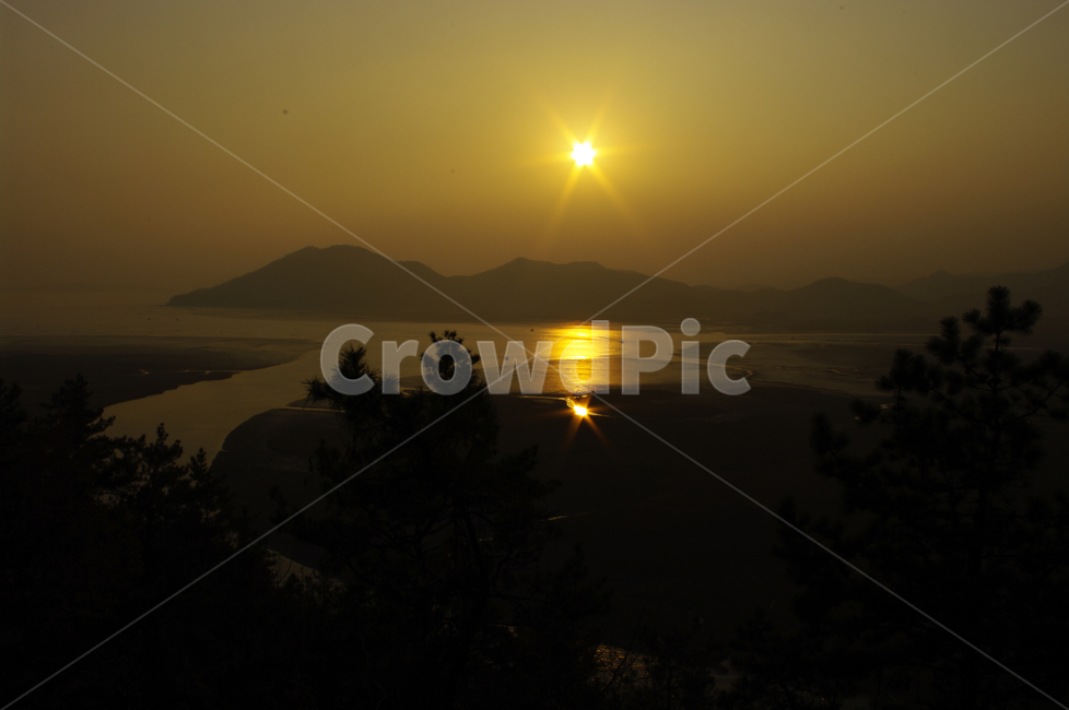 순천만,일몰,석양,노을,풍경,나무,자연,풍경,nature,landscape,한국자연풍경,한국자연경관,korea nature landscape,flare,플레어,light,빛,sunlight,햇빛