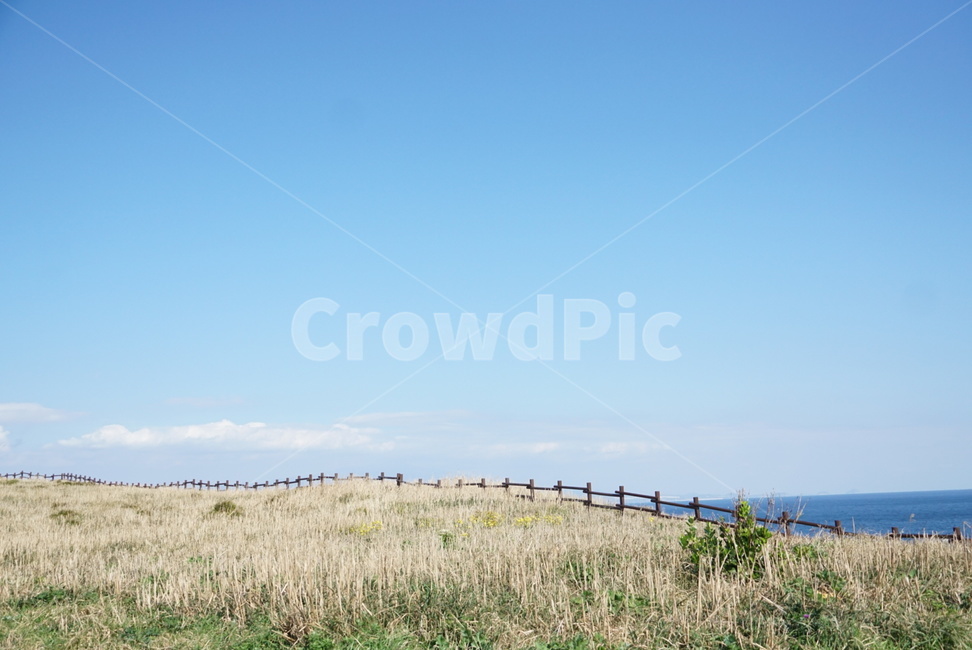 바다,하늘,제주도,섬,휴식,파랑,푸른,자연,풍경,nature,landscape,제주도,jeju,jeju island