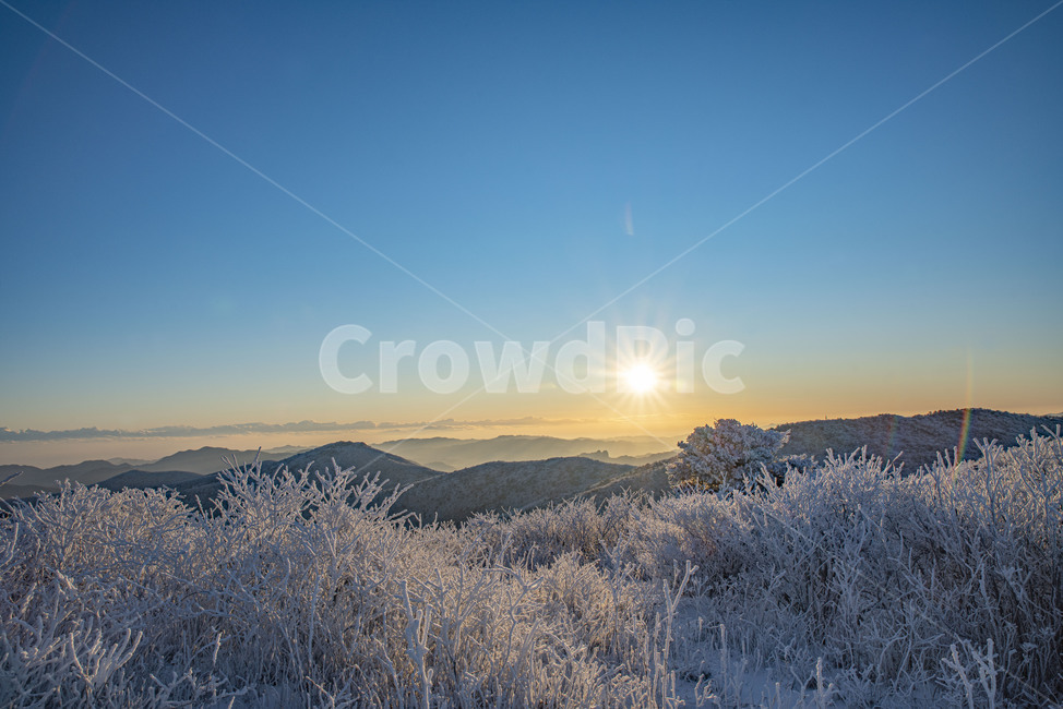 태백산,일출,설산,상고대,해돋이,겨울산,산,아침,해,겨울,눈꽃,nature,자연,겨울,계절,winter,season,자연,풍경,nature,landscape,새해,new year
