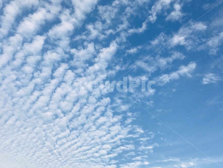 하늘,sky,구름,cloud,풍경,경치,하늘색,날씨,맑음,푸르름