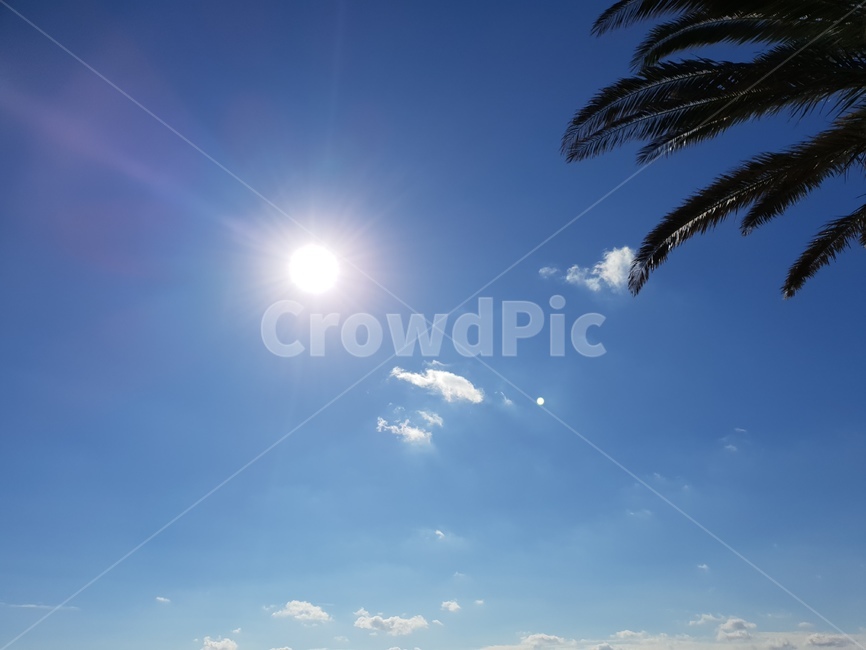 nature,sunlight,햇빛,자연,outdoors,옥외,자연,풍경,nature,landscape