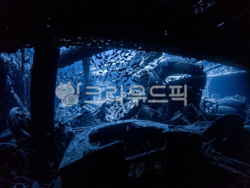 시슬곰,난파선,다이빙,2차대전,이집트,다합