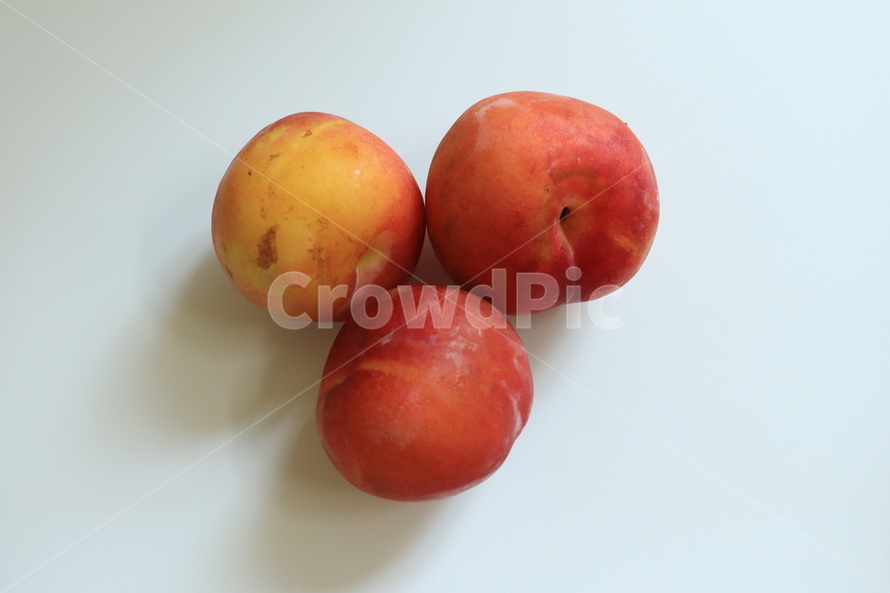 자두,여름과일,plum,fruit,자두나무열매,음식,food,건강,신선함,달콤,새콤,식재료,과일,열매,fruit