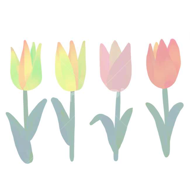 튤립,tulip,튤립일러스트,꽃일러스트,튤립그리기,튤립손그림,일러스트,일러스트손그림,감성일러스트,손그림일러스트,따뜻,산뜻,봄,꽃그림,봄꽃,튤립이미지,튤립벡터,튤립벡터이미지,튤립손그림일러스트,감성그림,감성손그림,꽃그리기,꽃손그림,illust,flower,floral,꽃무늬,꽃패턴,튤립패던,튤립꽃,튤립도안,도안,손그림,계절,4월,5월,자연,꽃,감성꽃,감성그리기,아기자기,귀여운,앙증,따뜻한,느낌,일러스트레이션,튤립일러스트레이션,꽃이미지,꽃벡터,벡터이미지,파스텔,수채화,파스텔일러스트,수채일러스트,튤립수채화,튤립수채,봄튤립,튤립아이콘,spring,natural,tulips,꽃밭,봄소풍,봄나들이,공원,산책,봄느낌