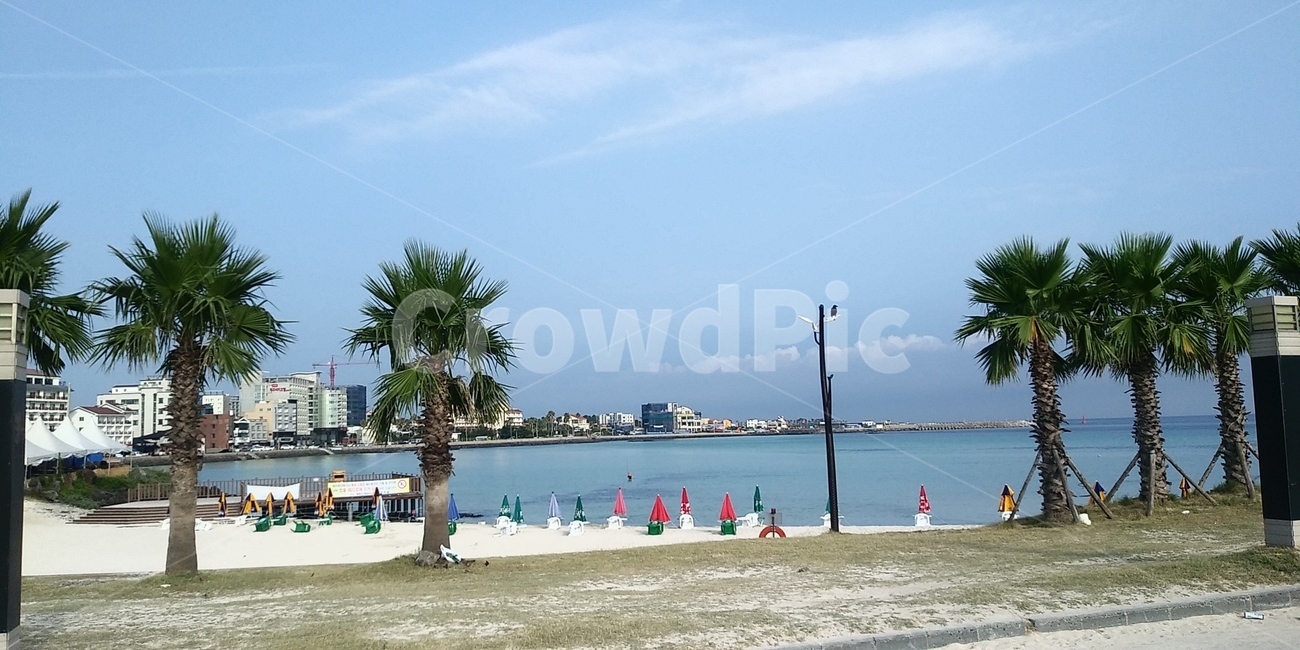 해수욕장,함덕해수욕장,제주도,바다,자연