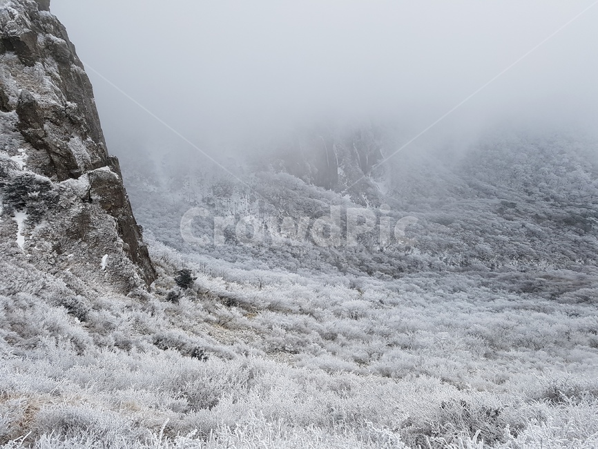 눈꽃,설경,운무,눈,산,겨울,계절,winter,season,자연,풍경,nature,landscape,outdoors,옥외