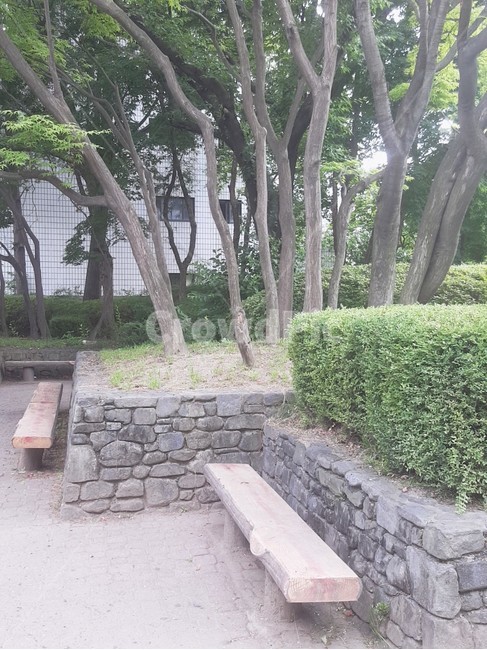 공원,의자,야외,풍경,나무