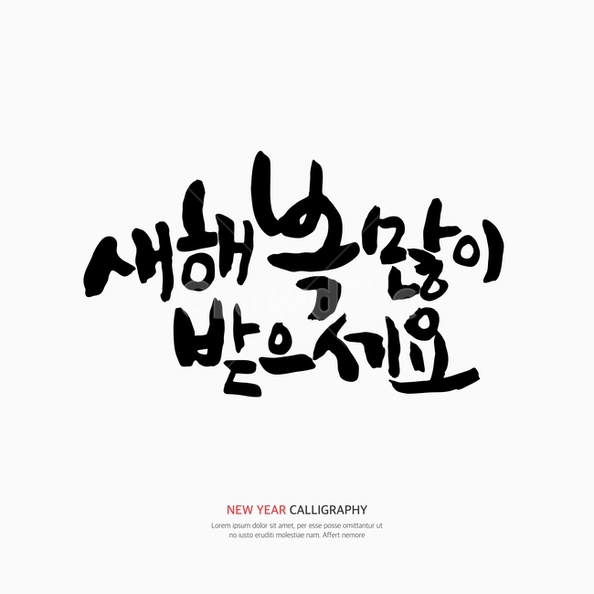 Callie,pen writing,handwriting,calligraphy,new year