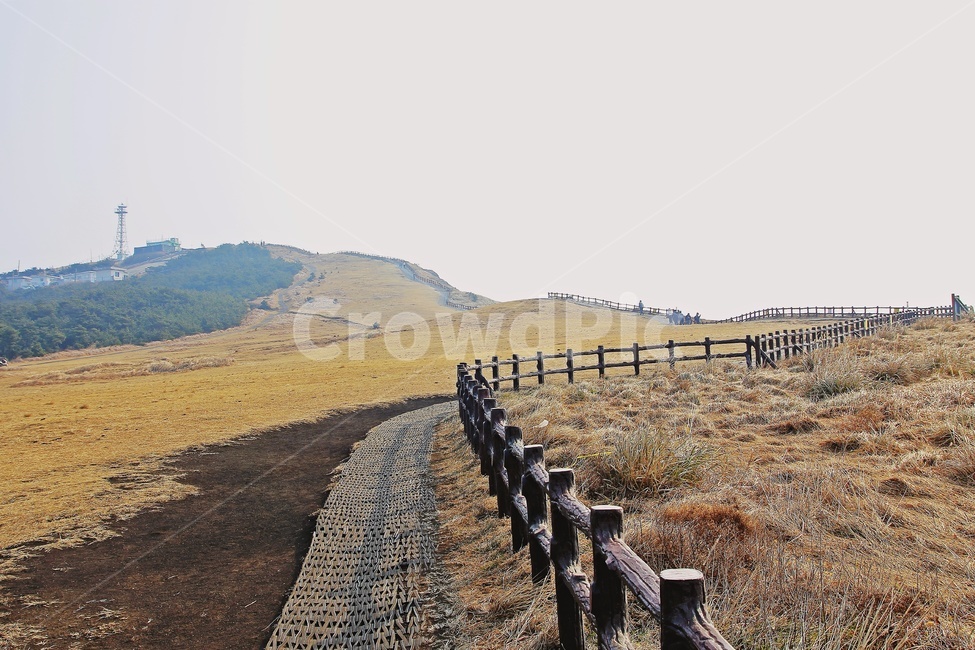 제주,오름,산책로,jeju,언덕,hill,trail,volcaniccone,자연,풍경,nature,landscape,제주도,jeju,jeju island,dirt road,흙길,road,도로,gravel,자갈