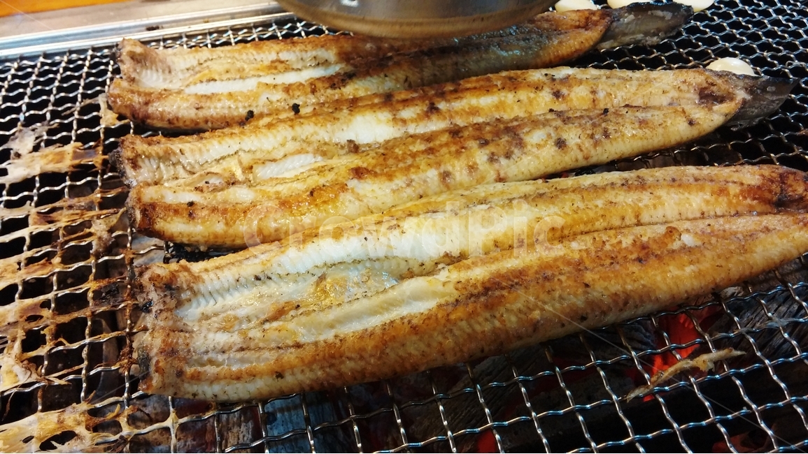 장어,장어구이,생선구이,음식,fish,food,음식,식재료,요리,food,cook,meal,dishes,food reserves,수산물,해산물,fishery products,seafood