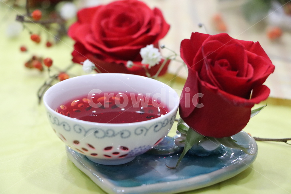 꽃차,장미,향기,찻잔,flower,plant,rose,blossom
