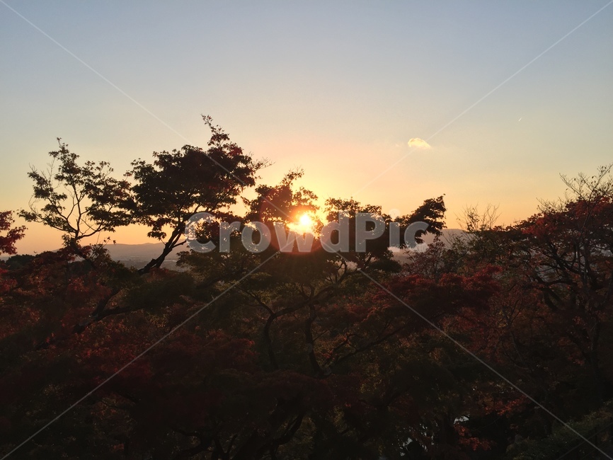 sunset,nature,sky,clouds,tree,fall,autumn,sunshine,노을,해질녘,산,공원,하늘,구름,태양,가을,단풍,나무,자연,풍경,nature,landscape,outdoors,옥외,일몰,red sky,붉은 하늘,dusk,황혼,dawn,새벽,flare,플레어,light,빛,sunlight,햇빛