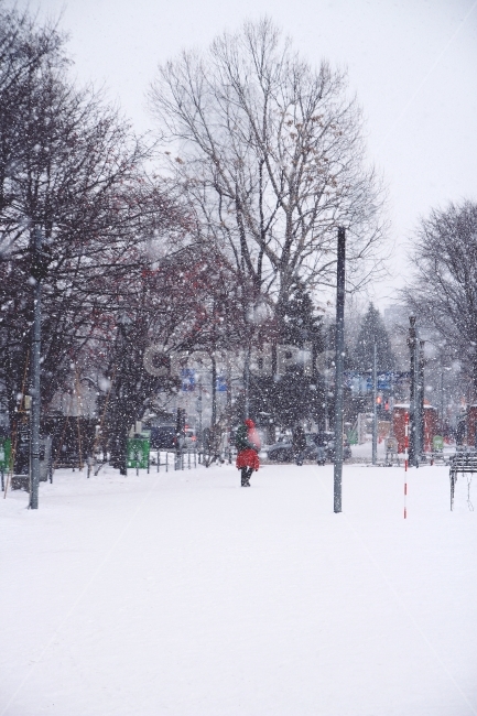 겨울,눈,겨울여행,삿포로,일본,홋카이도,북해도,겨울,계절,winter,season,감성,sensible,feeling