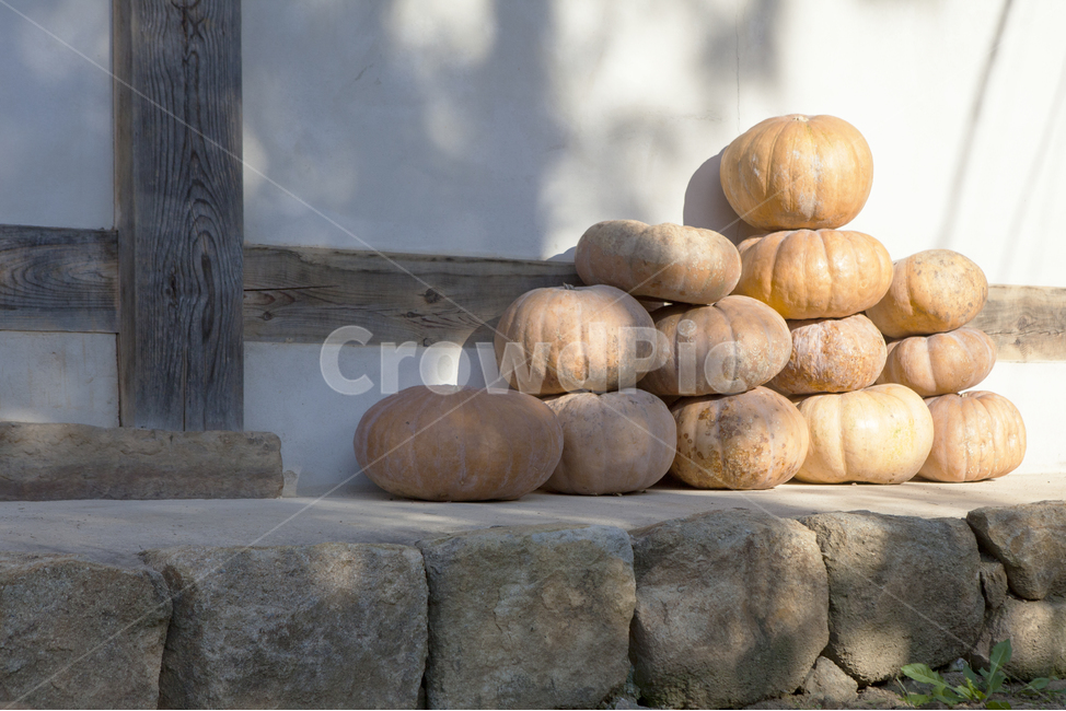 가을,호박,수확,따스함,댓돌,산사,늦가을,정취,한국전통,한국문화,korean traditional,korean culture,음식,식재료,요리,food,cook,meal,dishes,food reserves