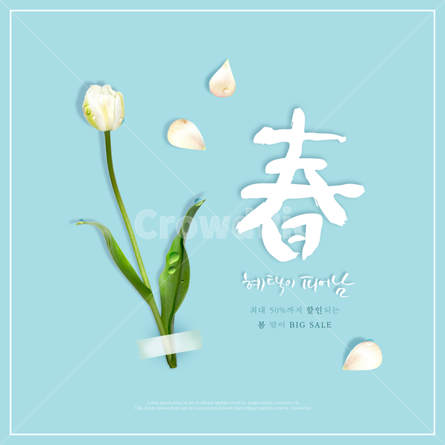 튤립,꽃,꽃잎,캘리,캘리그라피,붓글씨,손글씨,봄,프레임,이벤트,쇼핑,봄,계절,spring,season,꽃,flower,축제,행사,festival,carnival,event,쇼핑,shopping,그래픽,일러스트레이션,graphic,illustration,캘리그라피,손글씨,calligraphy