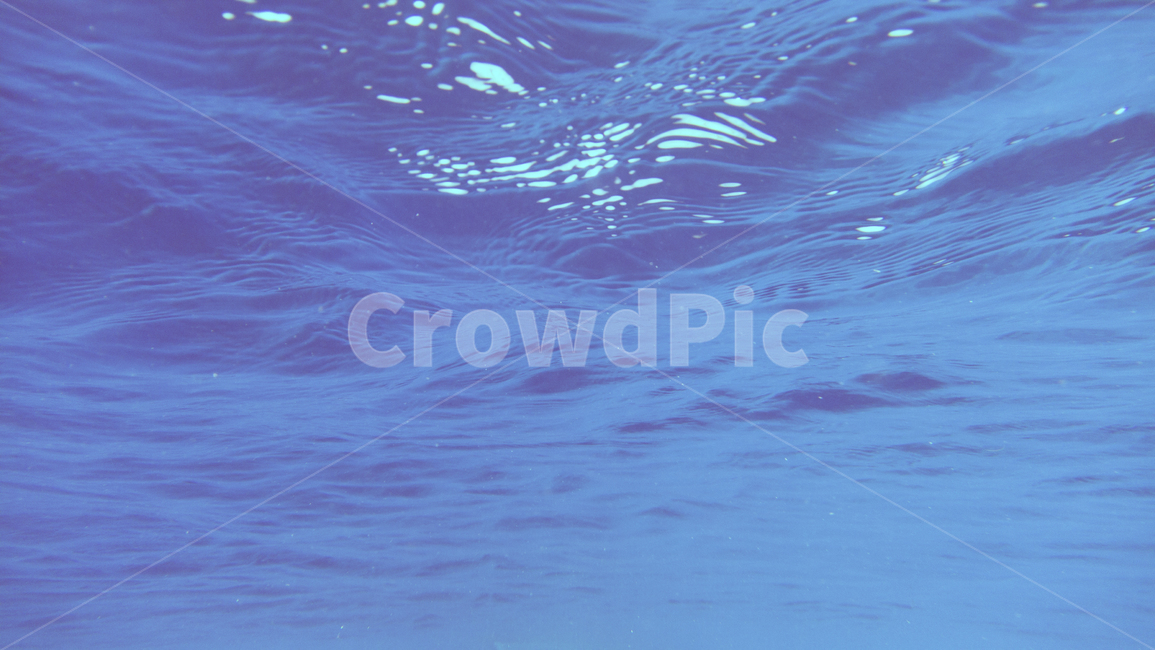 water,물,파도,wave,파랑,바다,sea