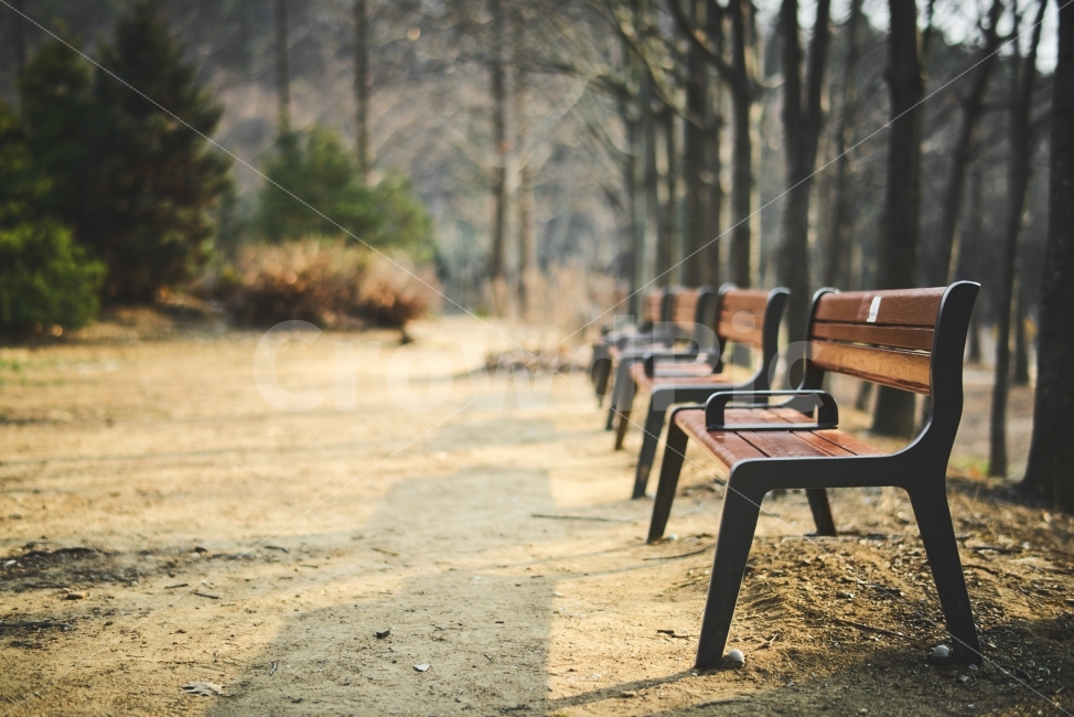 벤치,의자,쉼터,공원,사색,서정,그림자,겨울,계절,winter,season,휴식,힐링,rest,relaxation,healing