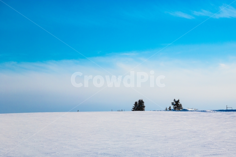 자연,풍경,겨울,눈,폭설,하늘,설국,홋카이도,겨울,계절,winter,season,자연,풍경,nature,landscape,outdoors,옥외