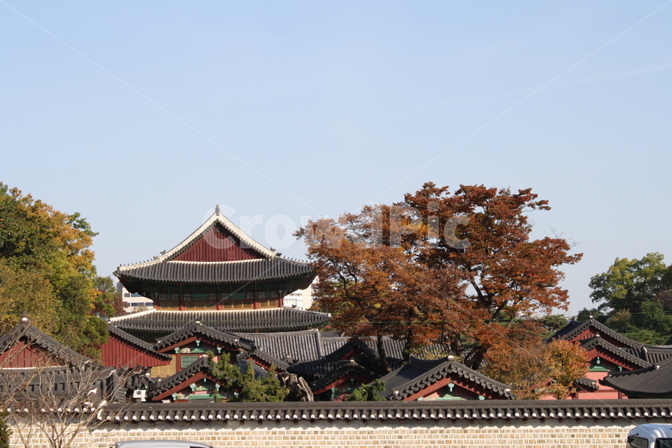 서울,한국전통,궁궐,가을,산책,가을,계절,fall,autumn,season,한국전통,한국문화,korean traditional,korean culture,랜드마크,landmark,tourist attraction,한국랜드마크,한국관광지,한국명소,korea landmark,korea tourist attraction,건축물,건물외관,exterior,building,structure,architecture,construction,worship,예배,pagoda,탑,temple,신전,shrine,신사,건물