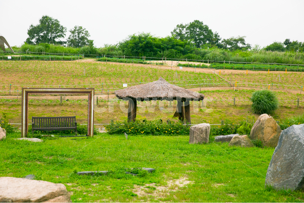 여름,오두막,시골,여름방학,더위,자연,풍경,nature,landscape,outdoors,옥외,field,들,grassland,목초지,bench,벤치
