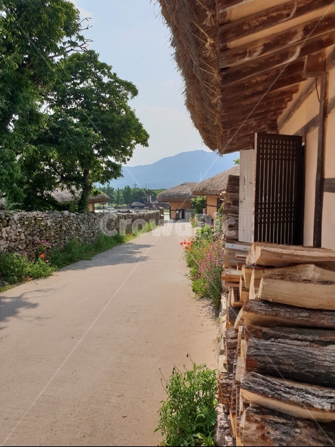 외암리,풍경,5월,맑음,꽃,시골,마을,풍경,landscape,country,rural,town,한국전통,한국문화,korean traditional,korean culture