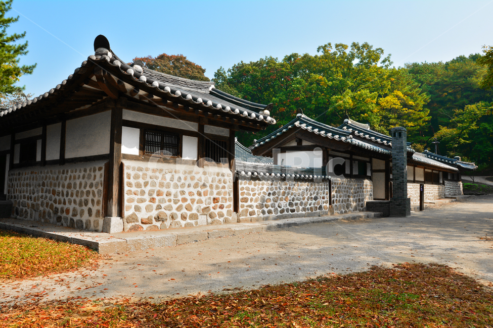 김포장릉,조선왕릉,문화재,재실,홍살문,원시림,송림,정숙,소나무,낙엽,가을,돌담,기와집,처마
