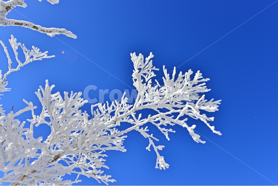 mountain,산,nature,자연,outdoors,옥외,landscape,경치,scenery,풍경,mountainrange,산맥,snow,눈,덕유산,설천봉,향적봉,중봉,상고대,덕유산설경,겨울,계절,설경,겨울,계절,winter,season,자연,풍경,nature,landscape,한국자연풍경,한국자연경관,korea nature landscape