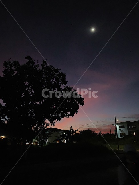노을,sunset,자연,nature,어두움,야경,밤,풍경,nightscape,night,landscape,outdoors,옥외