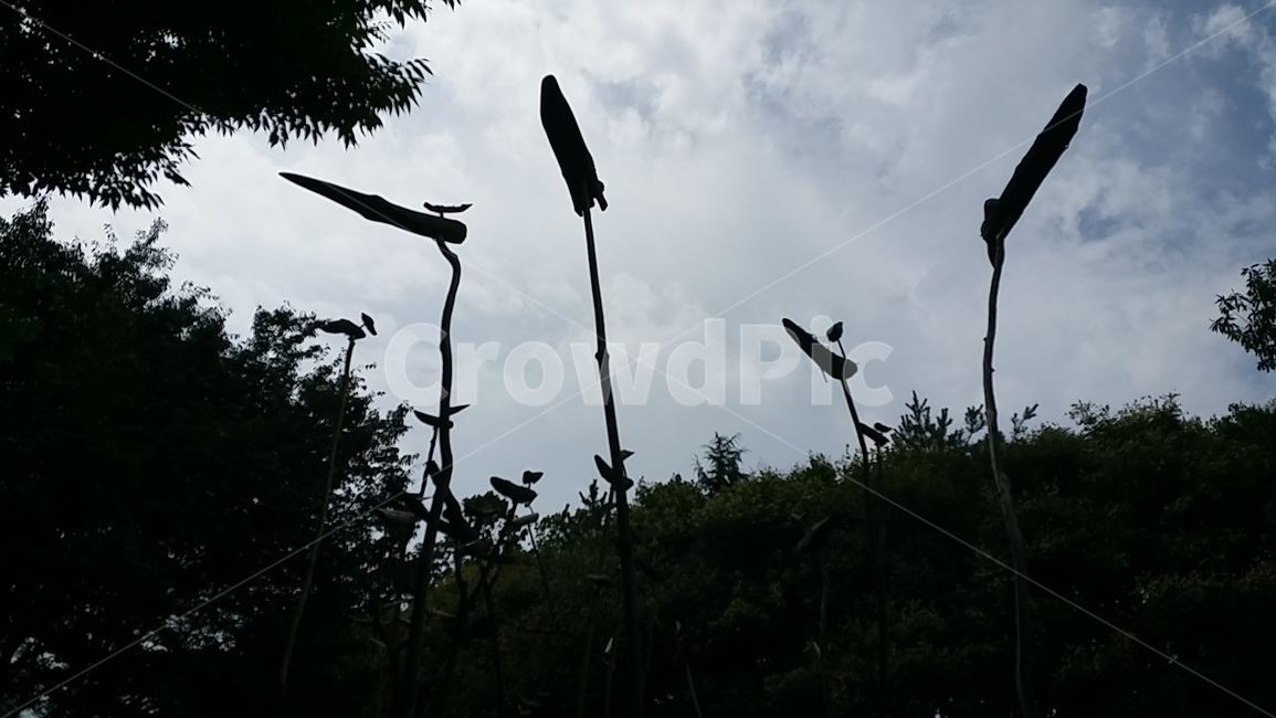 솟대,민간신앙,대구수목원,새모양,새,액막이