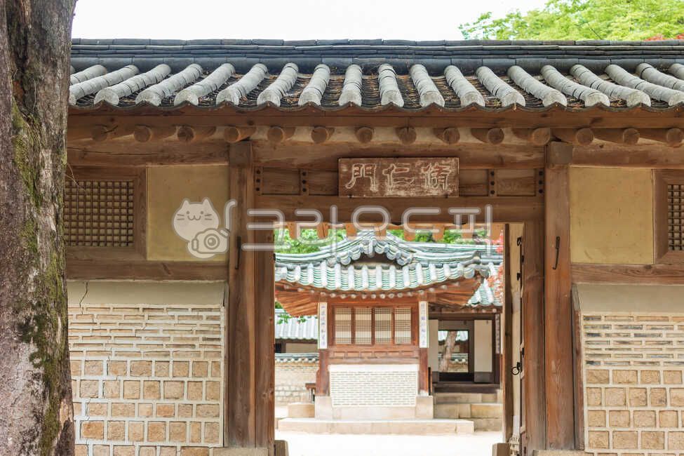 창덕궁,동궁,동궐,연경당,보물,유적,사적,한옥,조선,조선후기,건축,건축물,세계문화유산,문화,후원,비원,사랑채,가을,단풍,뜰,궁,궁전,궁궐,한국,서울,건축양식,전통양식,마당,문,기와,기와지붕,조용한,고즈넉한,전통한옥,주택,목조주택,목조건물,나무,아름다운,평화로운,녹색,고요한,가옥,경치,풍경,전통가옥