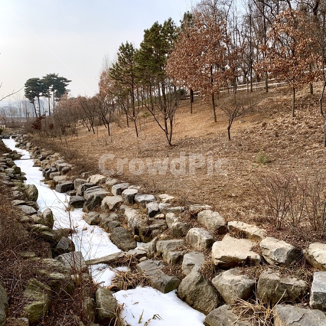가을,겨울,눈,돌,나무,풍경,가을,계절,fall,autumn,season,자연,풍경,nature,landscape,ground,바닥,rubble,파편