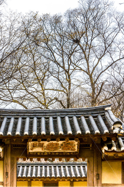 고궁,비원,기와,문양,문화유산,문화재,한국전통,한국문화,korean traditional,korean culture,건축물,건물외관,exterior,building,structure,architecture,construction